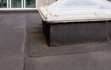 disadvantages of Ballynamallaght flat roofs