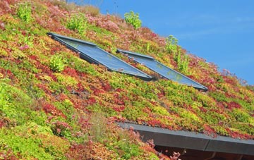 Ballynamallaght living roof systems