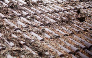 Ballynamallaght roof cleaning companies