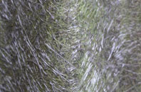 Ballynamallaght fibreglass roof work